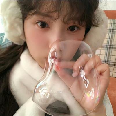 东风海棠